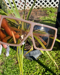 BLUSH FRAMES